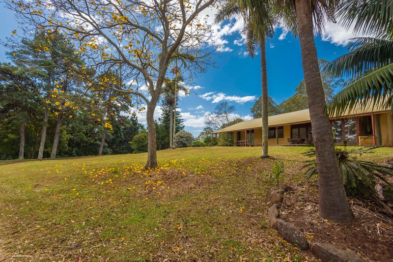 Photo - 70 Pine Mountain Road, Possum Creek NSW 2479 - Image 19