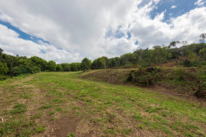 Photo - 70 Pine Mountain Road, Possum Creek NSW 2479 - Image 21