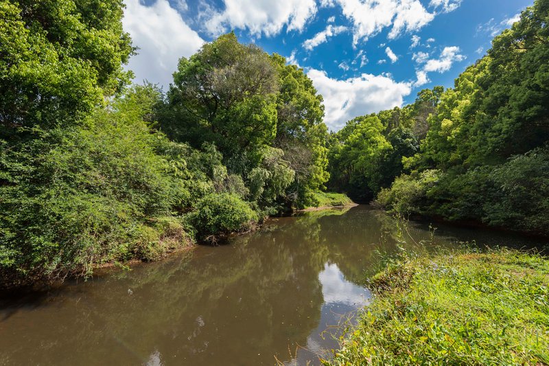 Photo - 70 Pine Mountain Road, Possum Creek NSW 2479 - Image 23