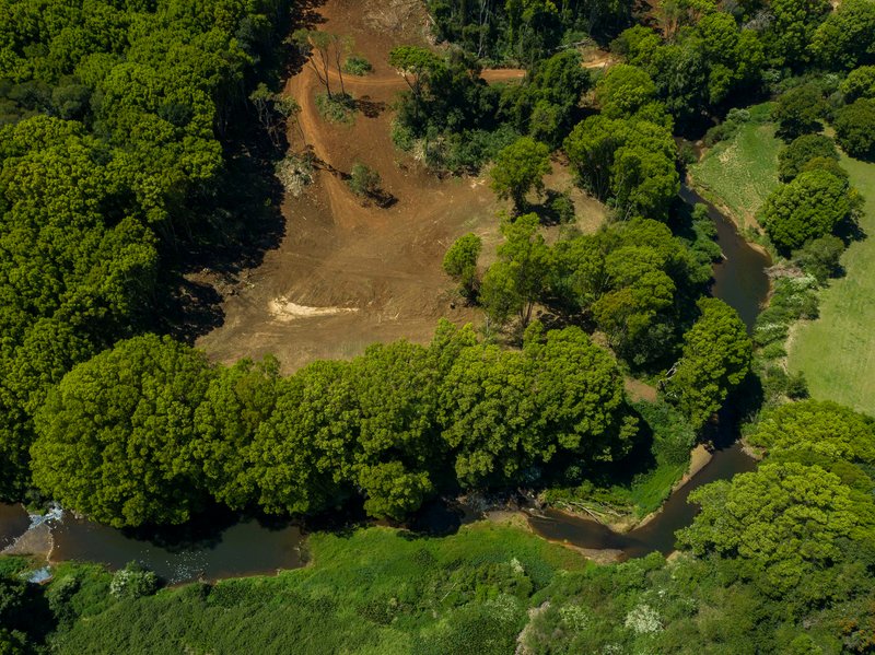 Photo - 70 Pine Mountain Road, Possum Creek NSW 2479 - Image 24