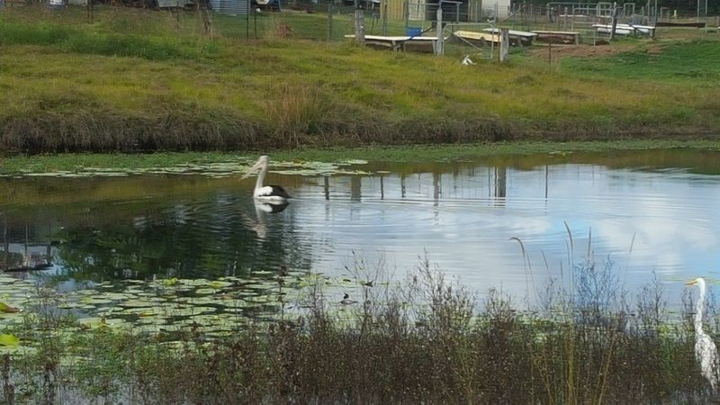 Photo - 70 Vista Road, South Maclean QLD 4280 - Image 3