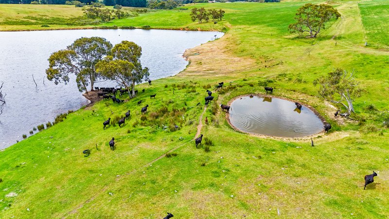 Photo - 700 Cleland Gully Road, Tooperang SA 5255 - Image 3