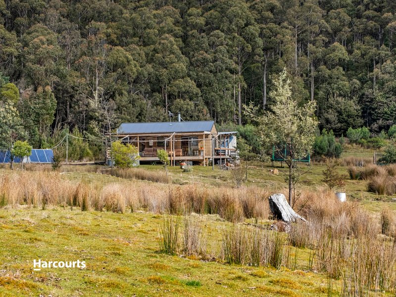 Photo - 700 Halls Track Road, Pelverata TAS 7150 - Image 4