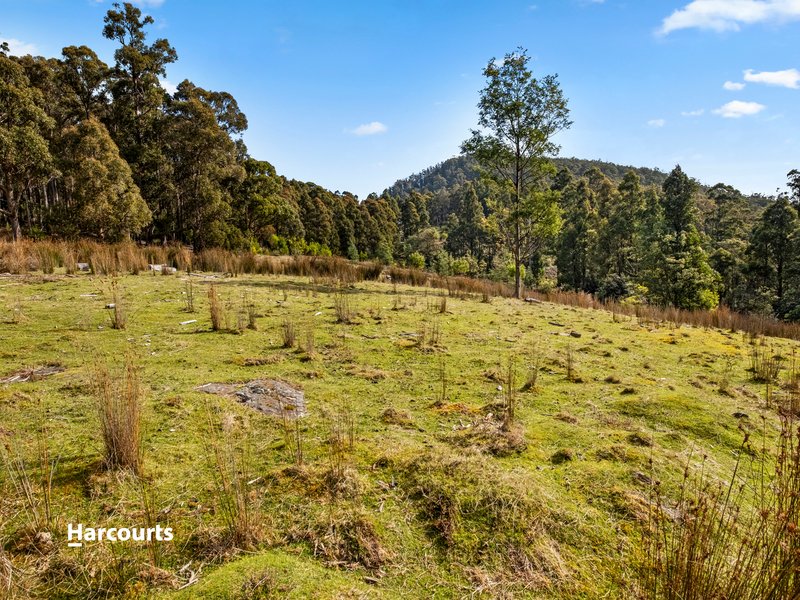 Photo - 700 Halls Track Road, Pelverata TAS 7150 - Image 16