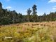 Photo - 700 Halls Track Road, Pelverata TAS 7150 - Image 17