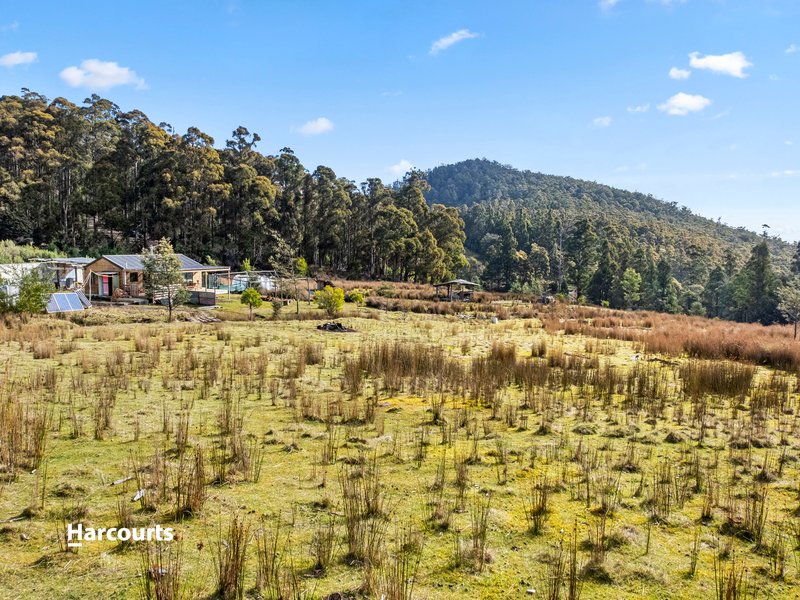 Photo - 700 Halls Track Road, Pelverata TAS 7150 - Image 19