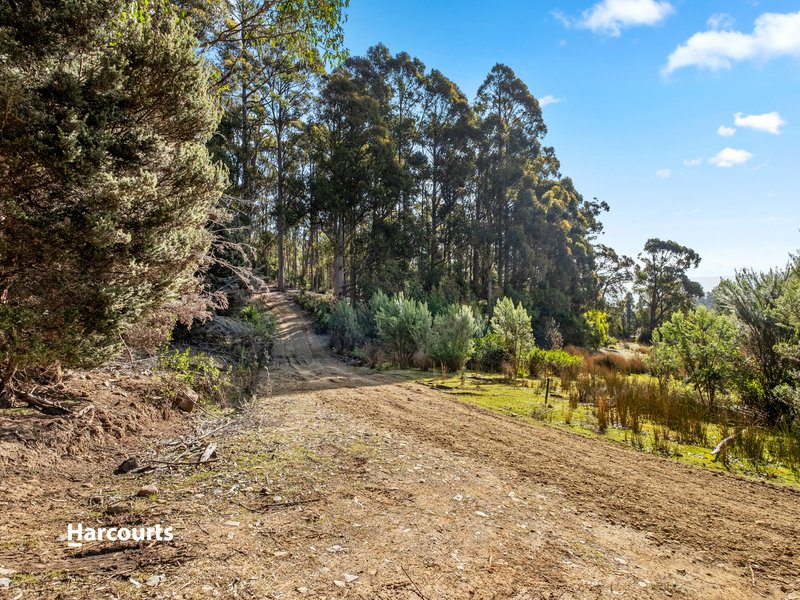 Photo - 700 Halls Track Road, Pelverata TAS 7150 - Image 21