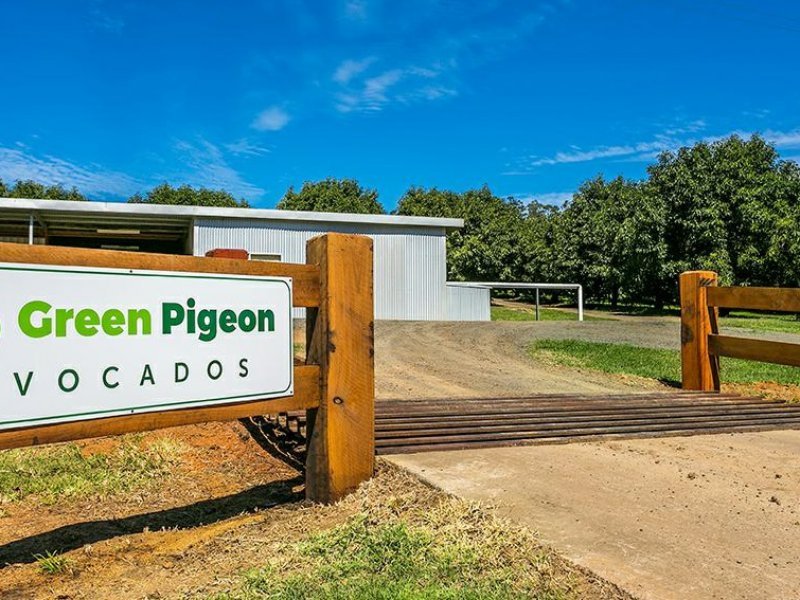 702 Green Pigeon Road, Green Pigeon NSW 2474