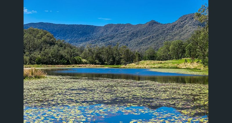 Photo - 702 Green Pigeon Road, Green Pigeon NSW 2474 - Image 10