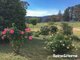 Photo - 703 Mutton Falls Road, Tarana NSW 2787 - Image 12