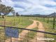 Photo - 703 Mutton Falls Road, Tarana NSW 2787 - Image 22