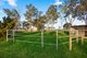 Photo - 704 Harris Road, Wasleys SA 5400 - Image 23