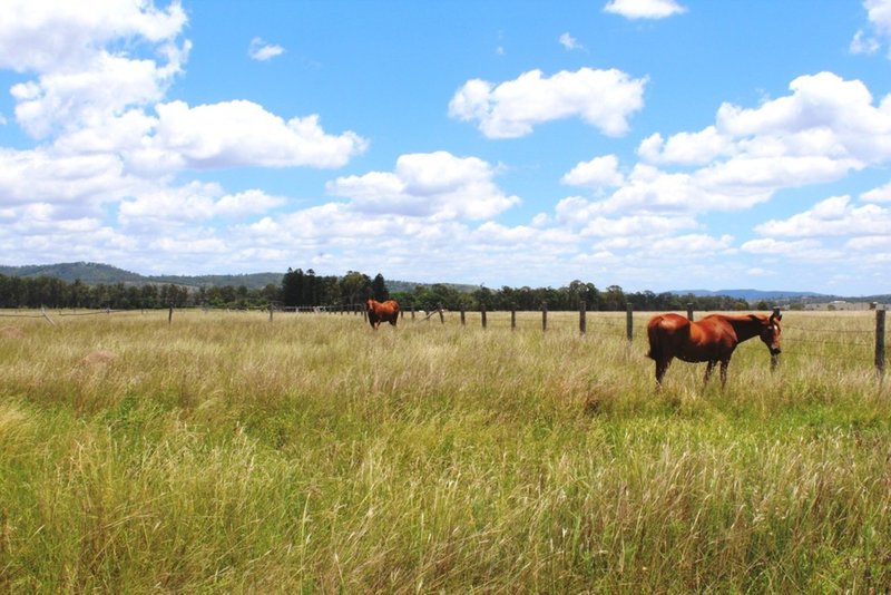 Photo - 704 Mount Beppo Road, Mount Beppo QLD 4313 - Image 11