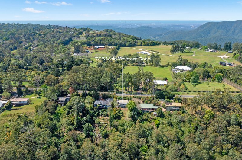 Photo - 705 Main Western Road, Tamborine Mountain QLD 4272 - Image 23