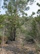 Photo - 70a Irby Boulevard, Sisters Beach TAS 7321 - Image 9