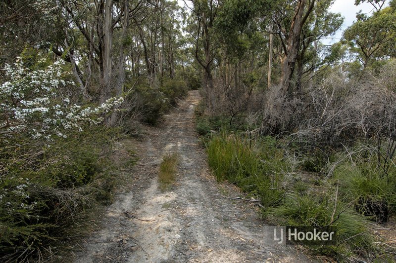 Photo - 70a Irby Boulevard, Sisters Beach TAS 7321 - Image 12