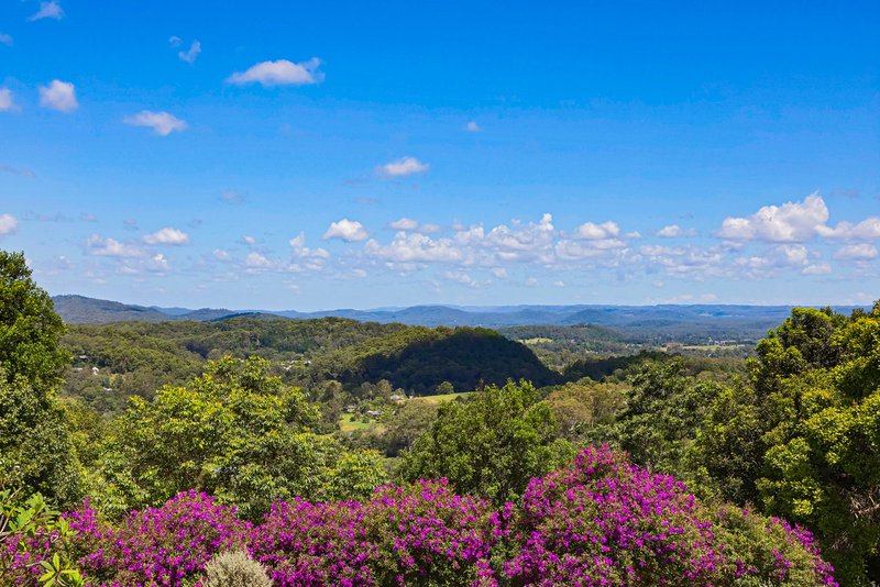 Photo - 71-77 Sunrise Road, Eumundi QLD 4562 - Image 11