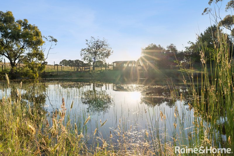 Photo - 71 Benson Road, Gisborne South VIC 3437 - Image 21