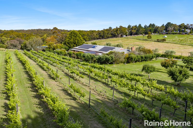 Photo - 71 Benson Road, Gisborne South VIC 3437 - Image 24