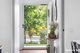 Photo - 71 Fig Tree Circuit, Bahrs Scrub QLD 4207 - Image 4