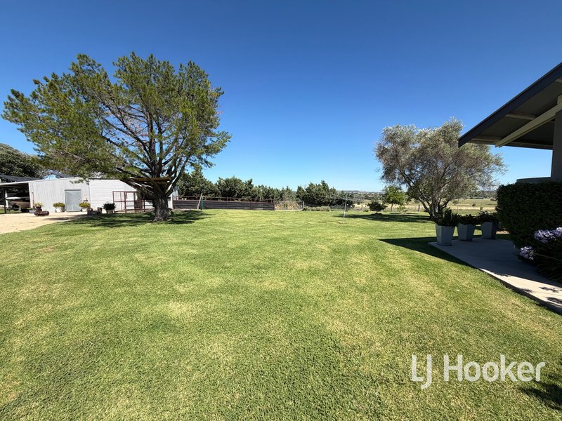 Photo - 71 Gillespies Lane, Inverell NSW 2360 - Image 25