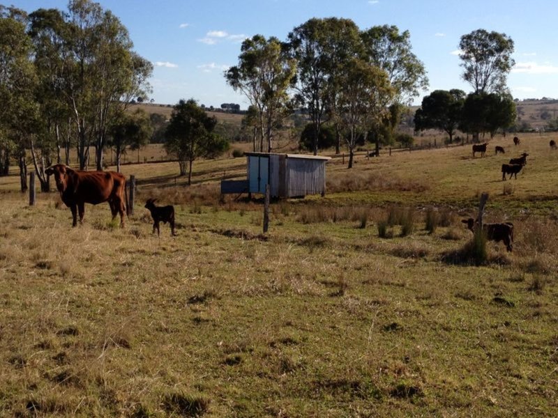 Photo - 71 Lucas Road - (Lot 1 Coolabunia West Rd) , Coolabunia QLD 4610 - Image 16