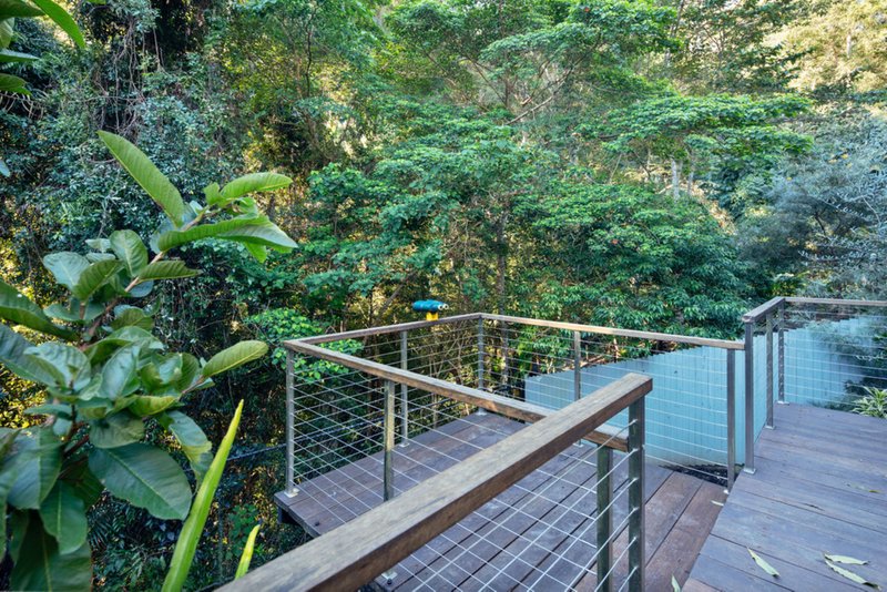 Photo - 71 Martins Creek Road, Buderim QLD 4556 - Image 12