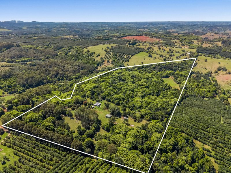 Photo - 71 Numulgi Creek Road, Modanville NSW 2480 - Image 6