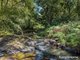 Photo - 71 Numulgi Creek Road, Modanville NSW 2480 - Image 33