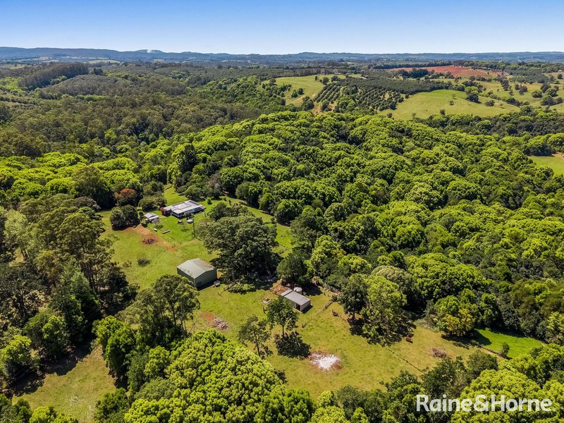 Photo - 71 Numulgi Creek Road, Modanville NSW 2480 - Image 34