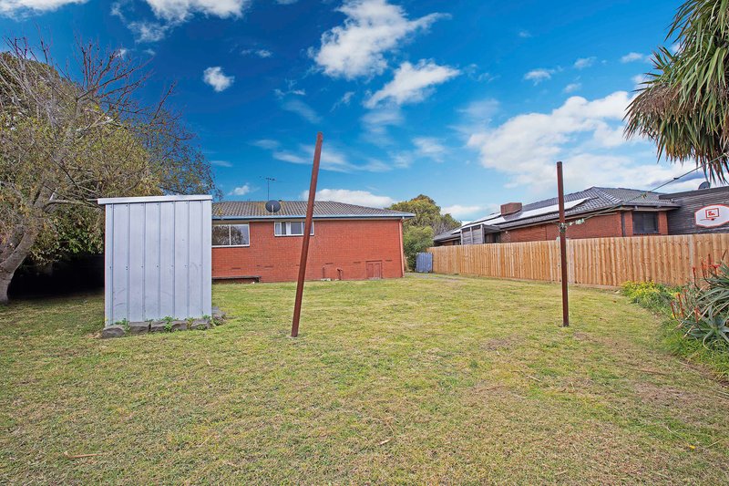 Photo - 71 Oberon Drive, Belmont VIC 3216 - Image 3