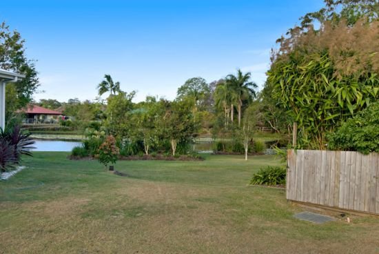 Photo - 71 Palmwoods School Road, Palmwoods QLD 4555 - Image 3