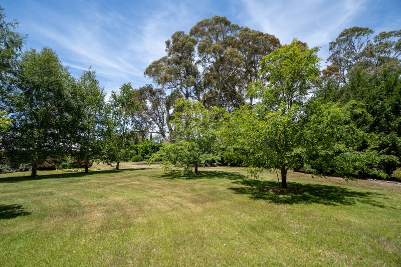Photo - 71 Sloggetts Road, Oberon NSW 2787 - Image 20