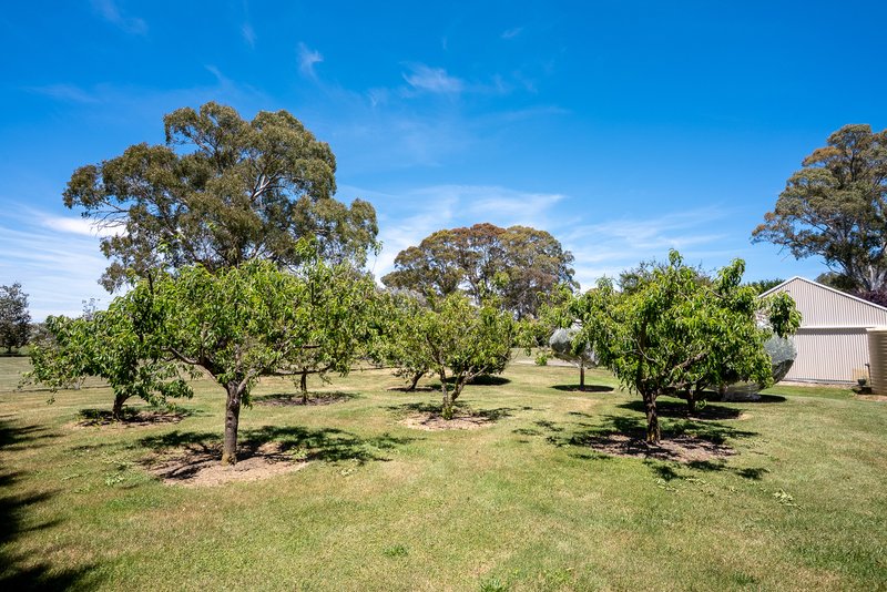 Photo - 71 Sloggetts Road, Oberon NSW 2787 - Image 24