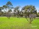 Photo - 71 Tara Drive, Acton Park TAS 7170 - Image 3