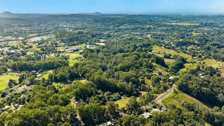 Photo - 71 Towen Mount Road, Towen Mountain QLD 4560 - Image 17