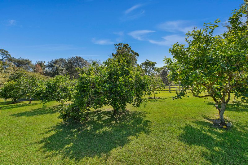 Photo - 710 Wisemans Ferry Road, Somersby NSW 2250 - Image 17