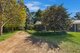 Photo - 710 Wisemans Ferry Road, Somersby NSW 2250 - Image 24