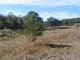 Photo - 711 Mountain Ash Road, Goulburn NSW 2580 - Image 5