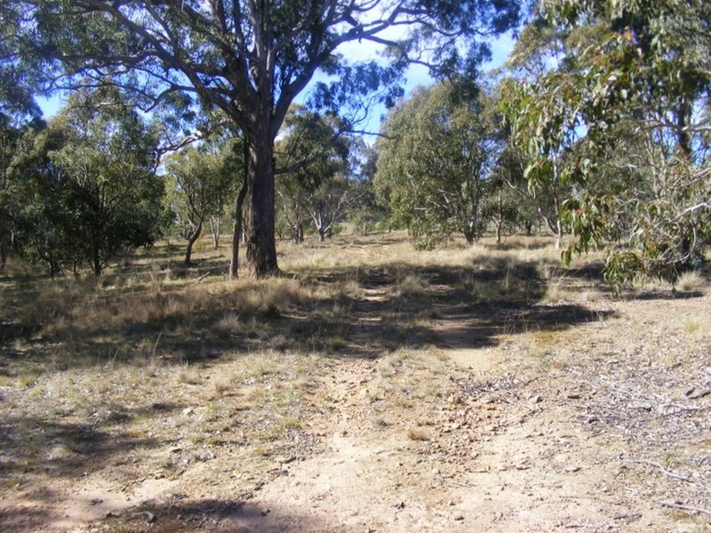 Photo - 711 Mountain Ash Road, Goulburn NSW 2580 - Image 7