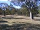 Photo - 711 Mountain Ash Road, Goulburn NSW 2580 - Image 9