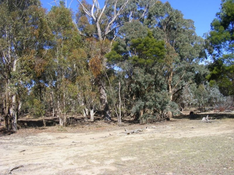 Photo - 711 Mountain Ash Road, Goulburn NSW 2580 - Image 15