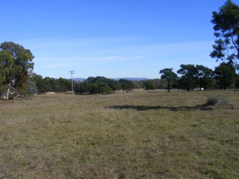 Photo - 711 Mountain Ash Road, Goulburn NSW 2580 - Image 21