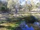 Photo - 711 Mountain Ash Road, Goulburn NSW 2580 - Image 25