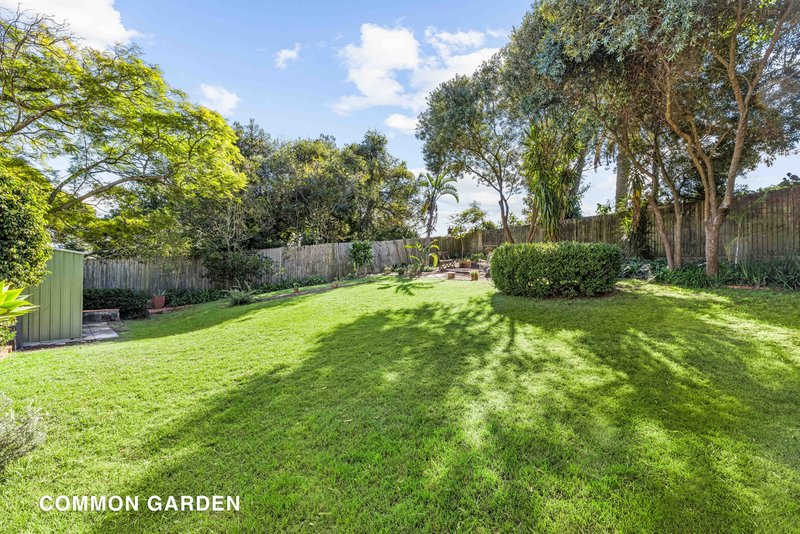 Photo - 7/125-127 Bellevue Road, Bellevue Hill NSW 2023 - Image 4