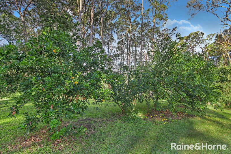 Photo - 714 Cootharaba Road, Cootharaba QLD 4565 - Image 27