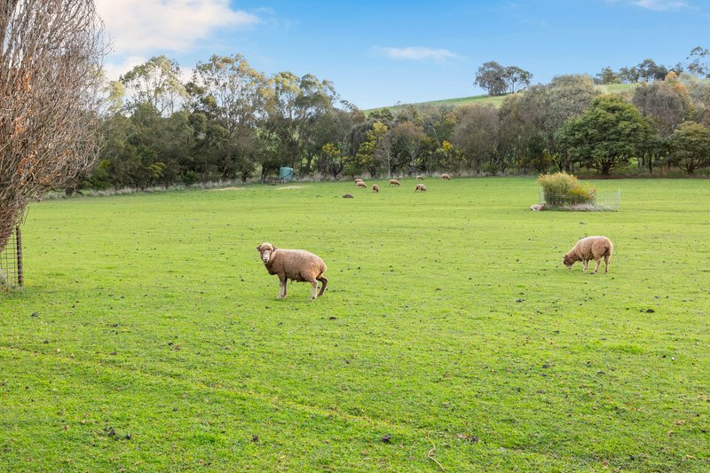 Photo - 714 Edmonston Road, Weatherboard VIC 3352 - Image 31