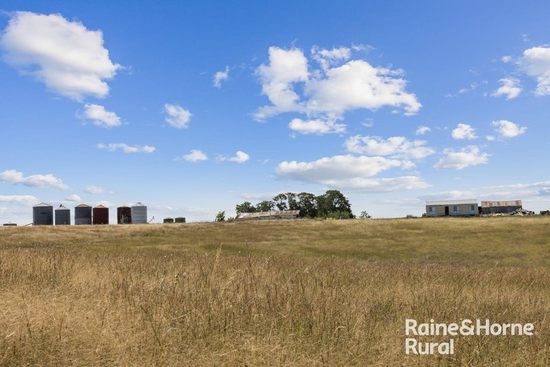 Photo - 714 Murringo Road, Boorowa NSW 2586 - Image 3