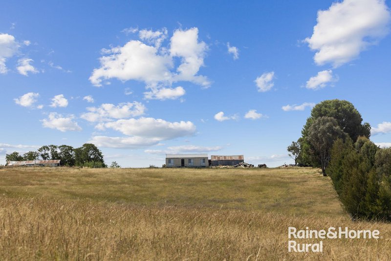 Photo - 714 Murringo Road, Boorowa NSW 2586 - Image 4