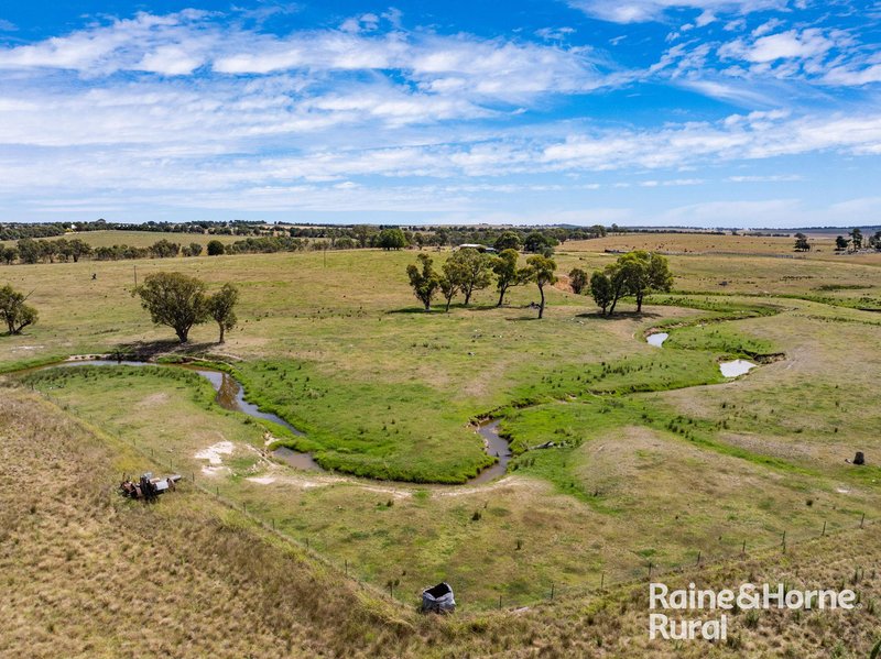 Photo - 714 Murringo Road, Boorowa NSW 2586 - Image 5